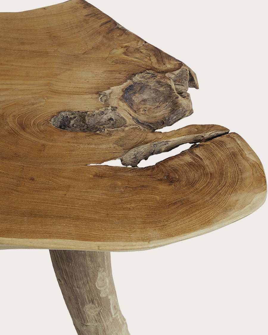 Risa - Table basse en teck massif