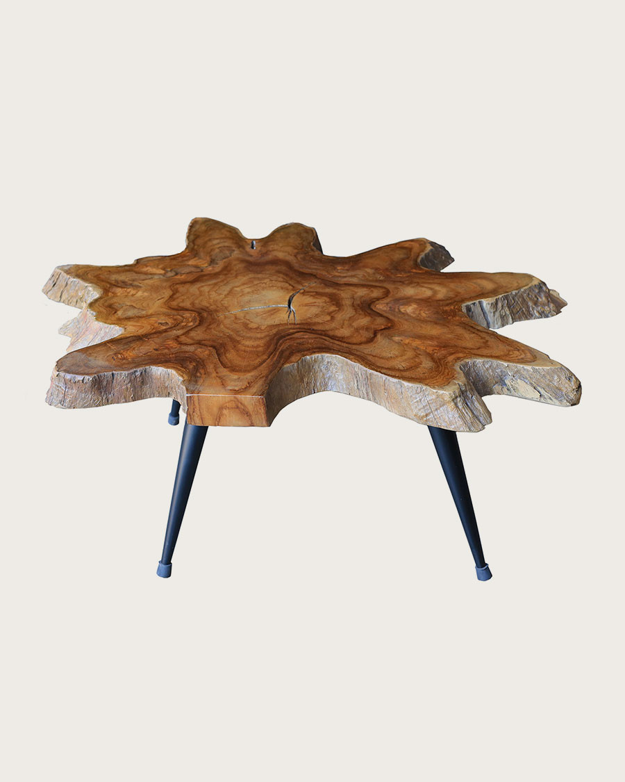 Stella - Table basse tronc en teck massif