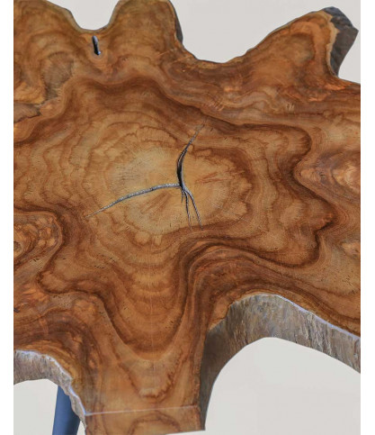 Stella - Table basse tronc en teck massif