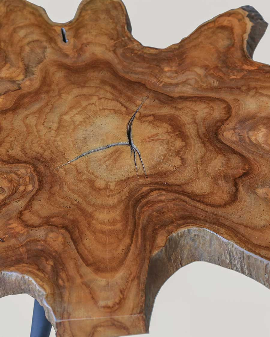 Stella - Table basse tronc en teck massif